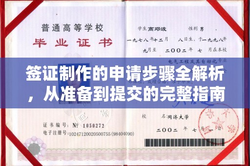 寿县签证制作的申请步骤全解析，从准备到提交的完整指南