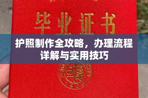 寿县护照制作全攻略，办理流程详解与实用技巧