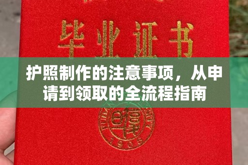 寿县护照制作的注意事项，从申请到领取的全流程指南