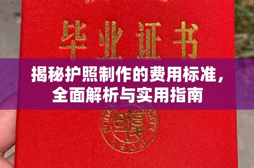寿县揭秘护照制作的费用标准，全面解析与实用指南