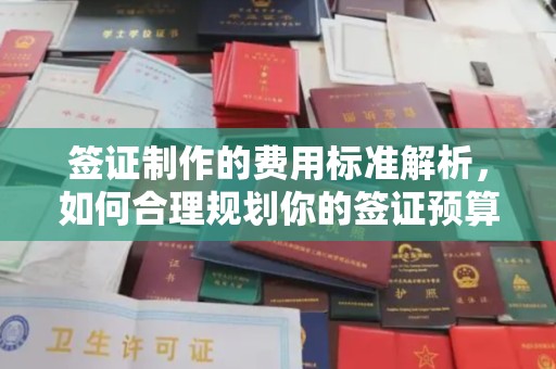 寿县签证制作的费用标准解析，如何合理规划你的签证预算