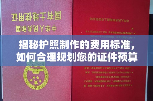 寿县揭秘护照制作的费用标准，如何合理规划您的证件预算
