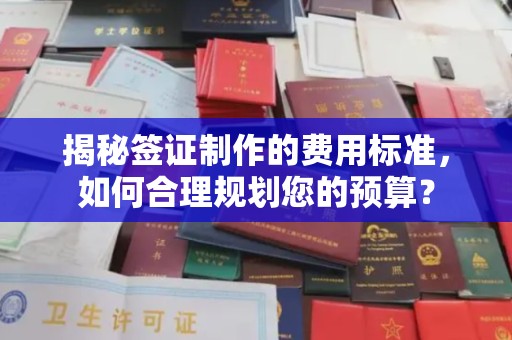 寿县揭秘签证制作的费用标准，如何合理规划您的预算？