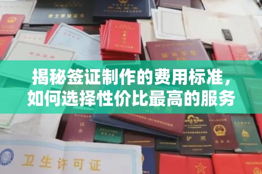 寿县揭秘签证制作的费用标准，如何选择性价比最高的服务？