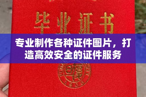 寿县专业制作各种证件图片，打造高效安全的证件服务